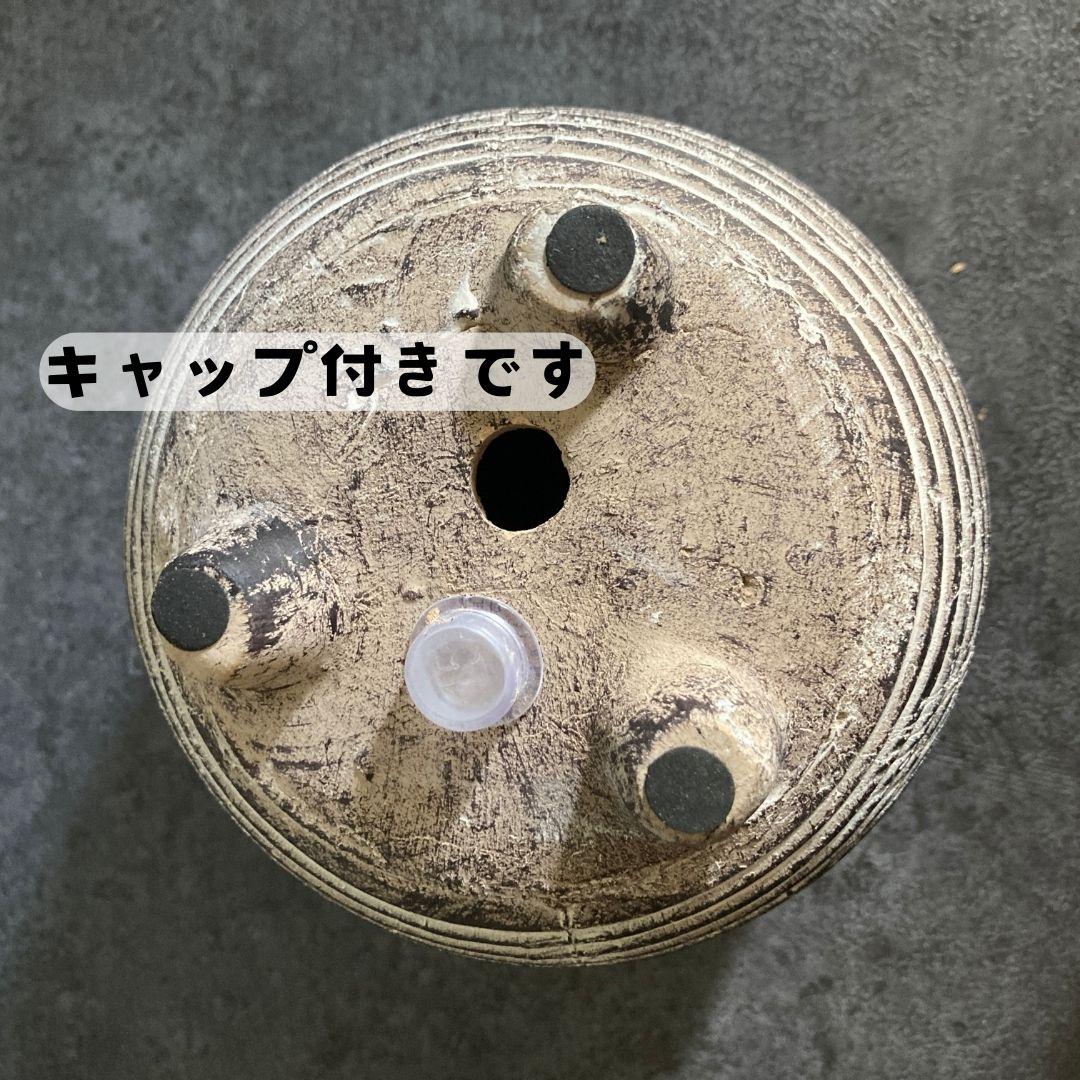 【クロスロープポット】おしゃれ 陶器鉢 4.5寸 4.5号 中型 観葉植物 | 3枚目