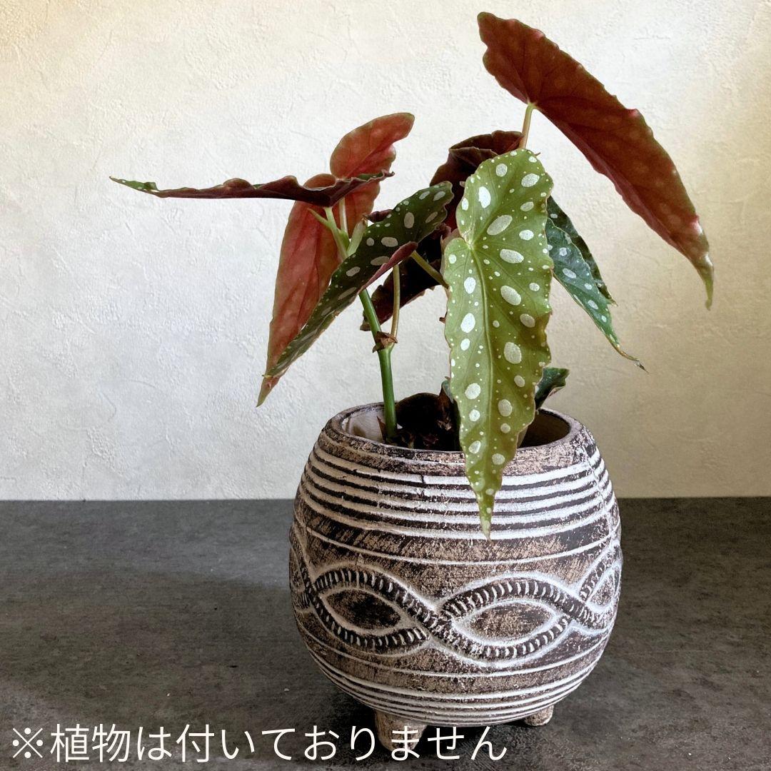 【クロスロープポット】おしゃれ 陶器鉢 4.5寸 4.5号 中型 観葉植物 | 5枚目