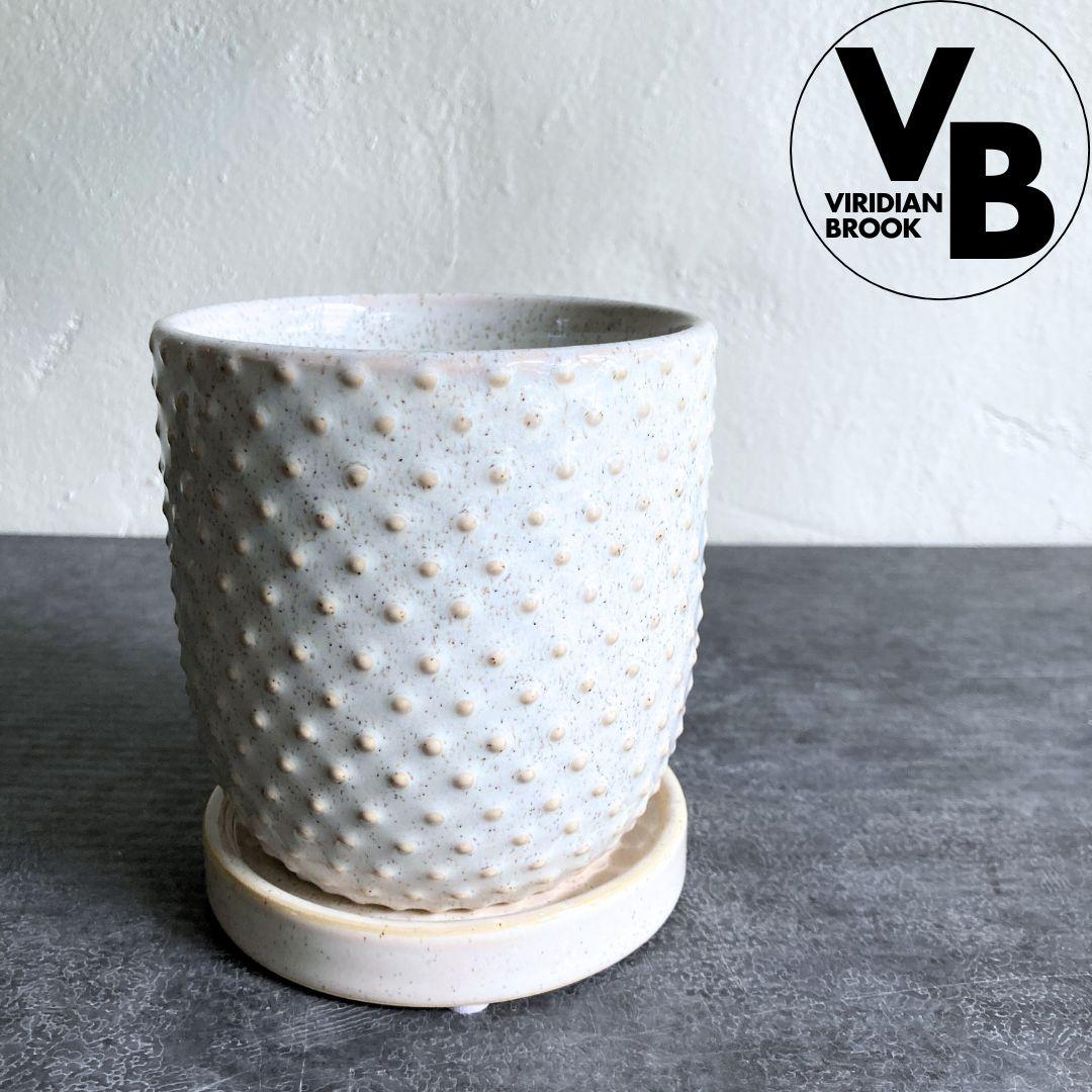 【エイラホワイト】 植木鉢 陶器鉢 未使用 観葉植物 おしゃれ 3寸 3号1枚目の画像