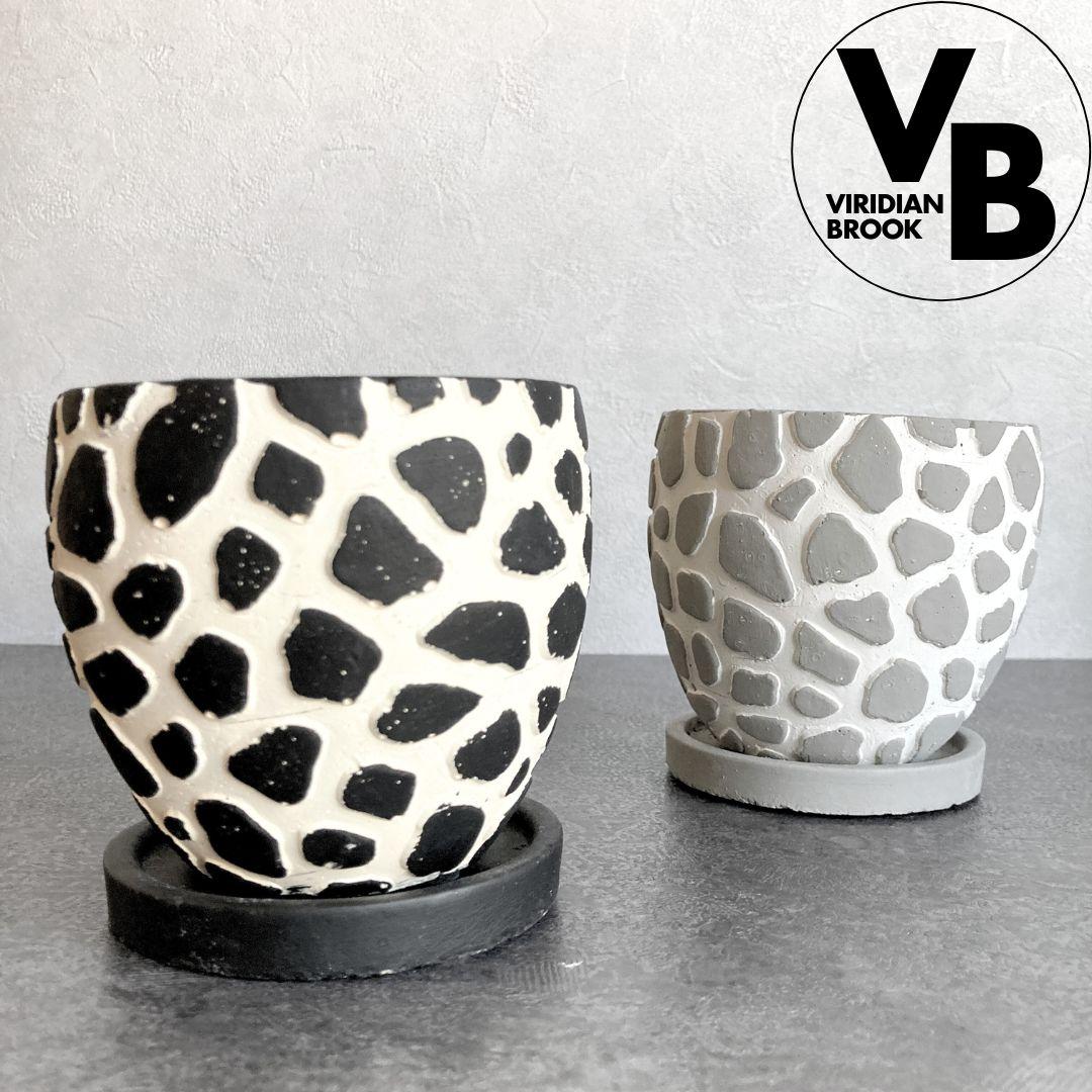 【レオパールサークル】 2色から選べる おしゃれ 陶器鉢 3寸 3号 小型 観葉植物1枚目の画像