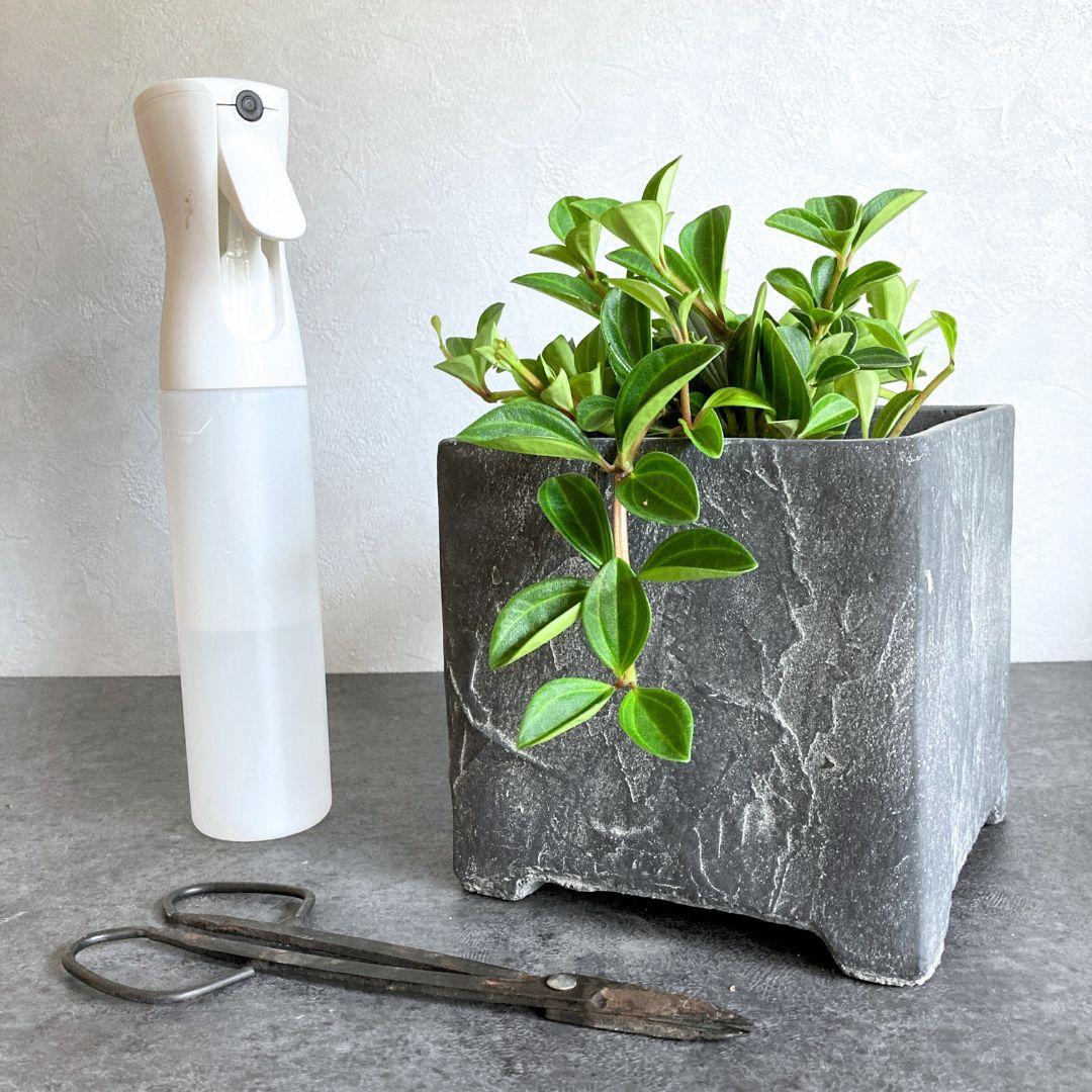 【フットポット】 2色から選べる おしゃれ 陶器鉢 5寸 5号 中型 観葉植物 | 2枚目