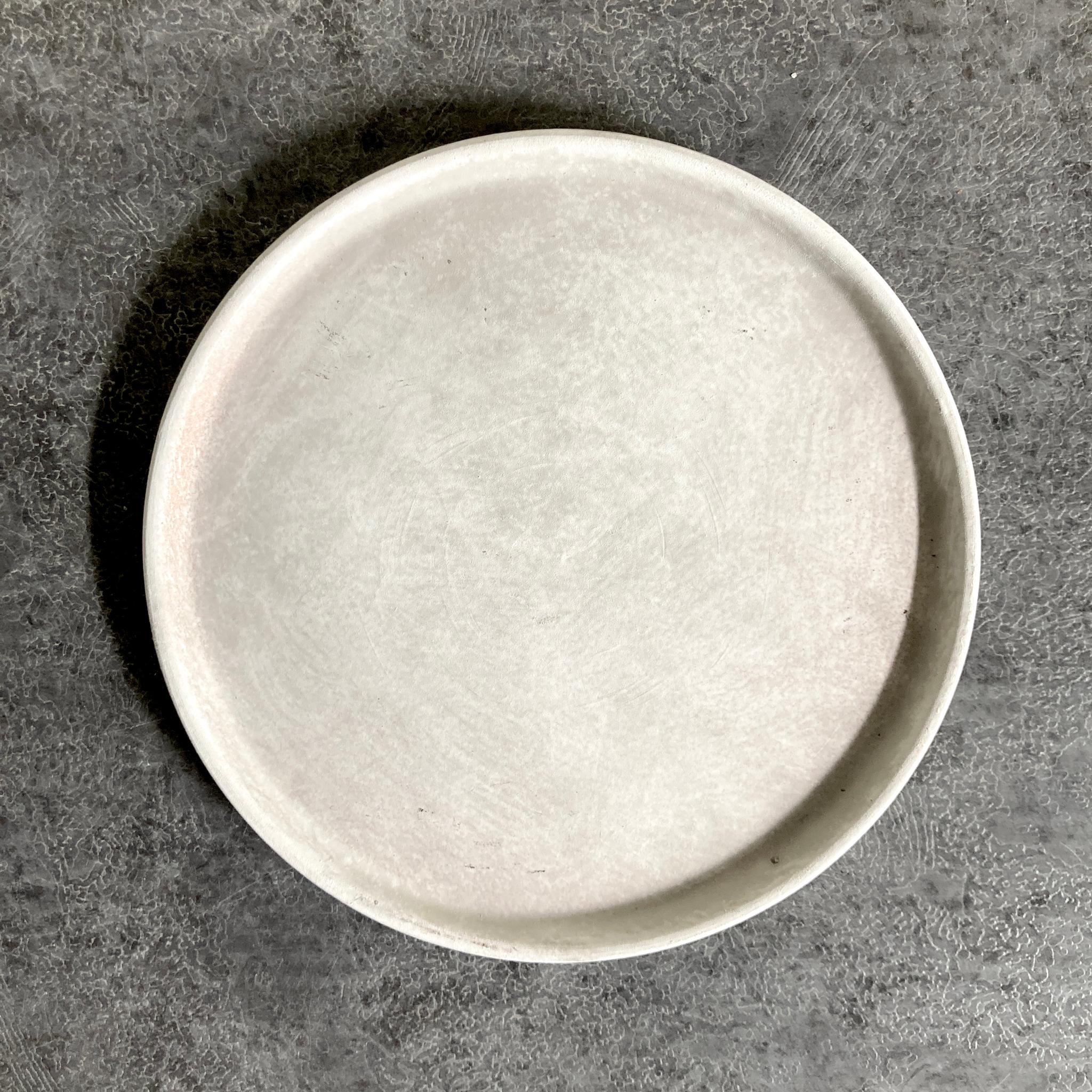 【レイブントール】  陶器鉢 5寸 5号 中型 観葉植物 | 4枚目