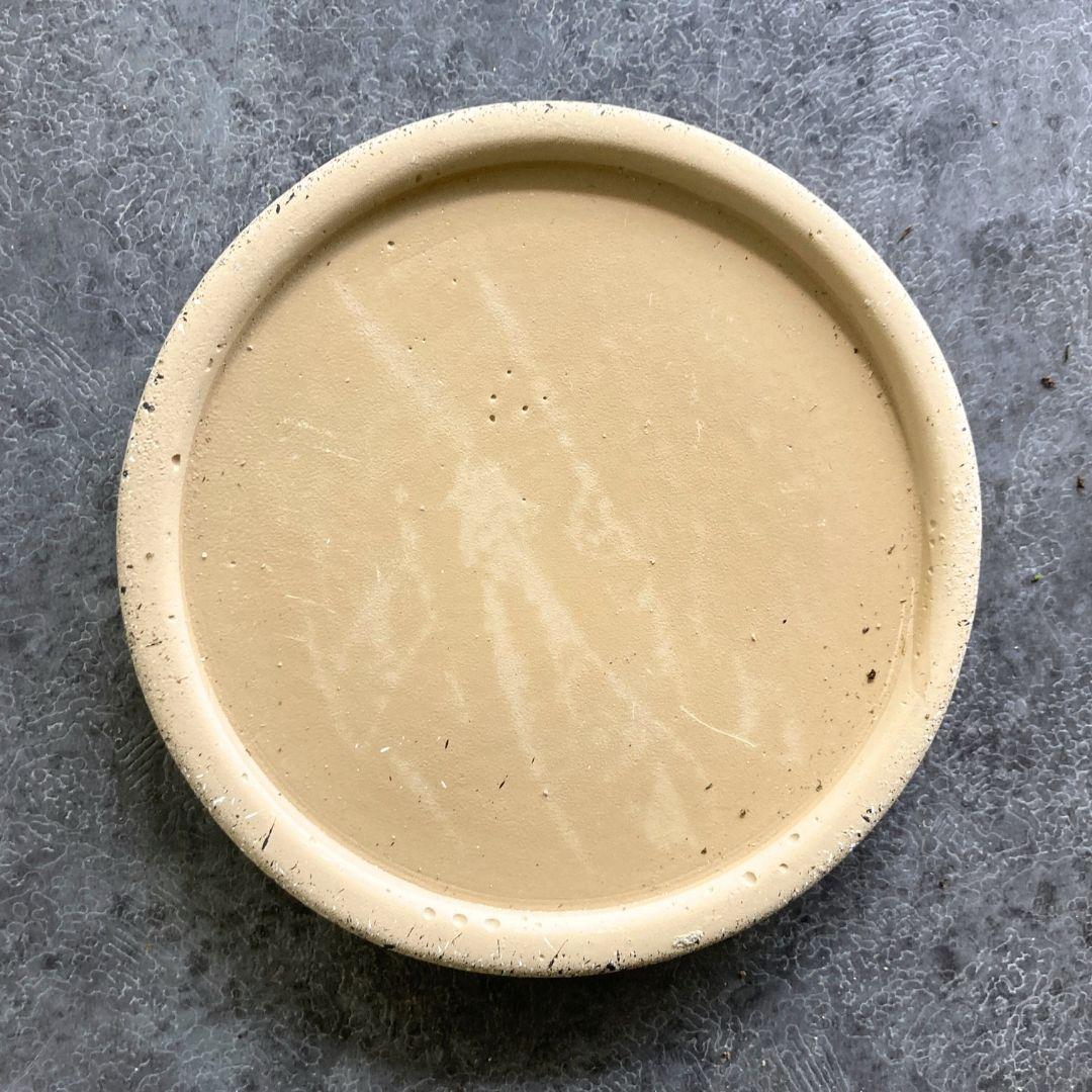 ピレア グラウカ A 陶器鉢 3.5寸 観葉植物 美品 | 4枚目