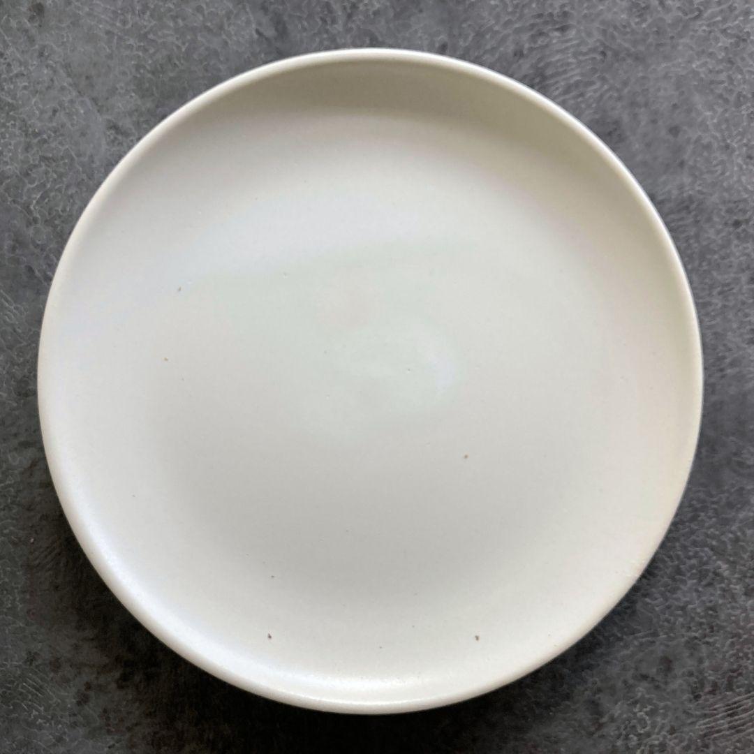 ピレア グラウカ B 陶器鉢 3.5寸 観葉植物 美品 | 4枚目