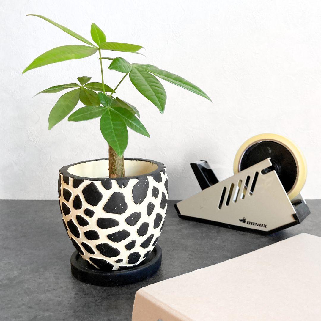 【レオパールサークル】 2色から選べる おしゃれ 陶器鉢 3寸 3号 小型 観葉植物 | 2枚目