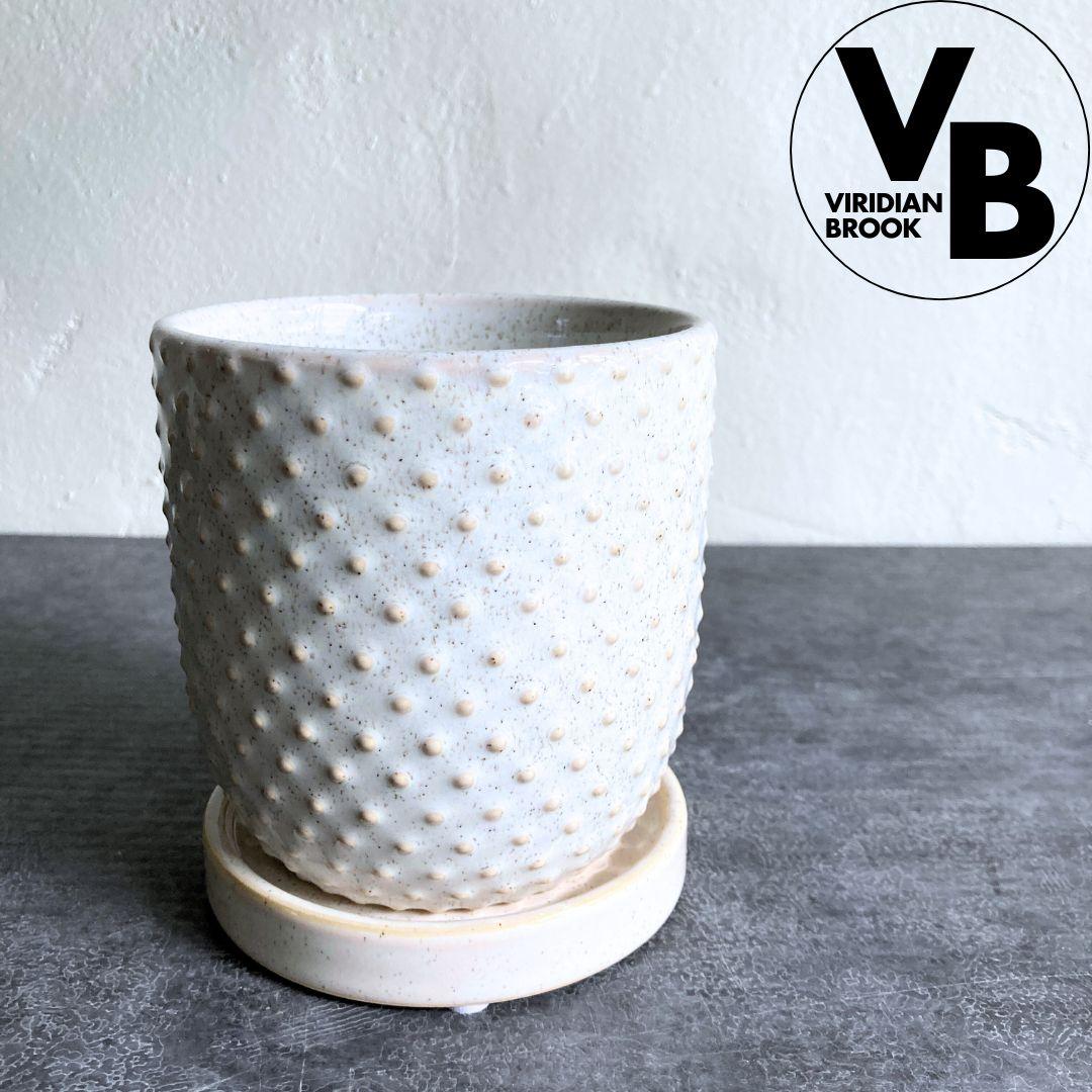 【エイラ】 おしゃれ 陶器鉢 3.5寸 3.5号 小型 観葉植物1枚目の画像